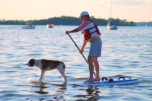 Looking For Ways To Increase Workout Time? 3 Pet-Friendly Ways You Can