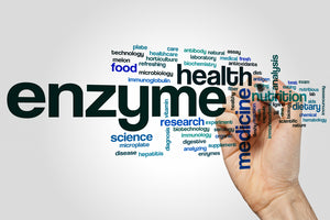 Benefits of Enzymes