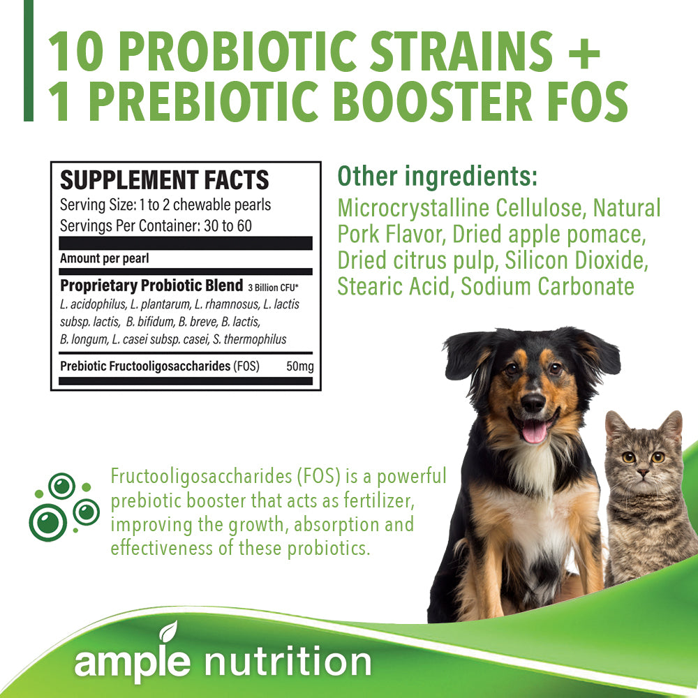 Beautiful view of Probiotic Dog Food No Grains With B Complex Vitamins